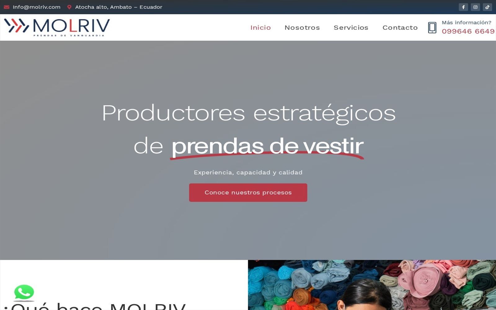 Captura de la plataforma corporativa Molriv